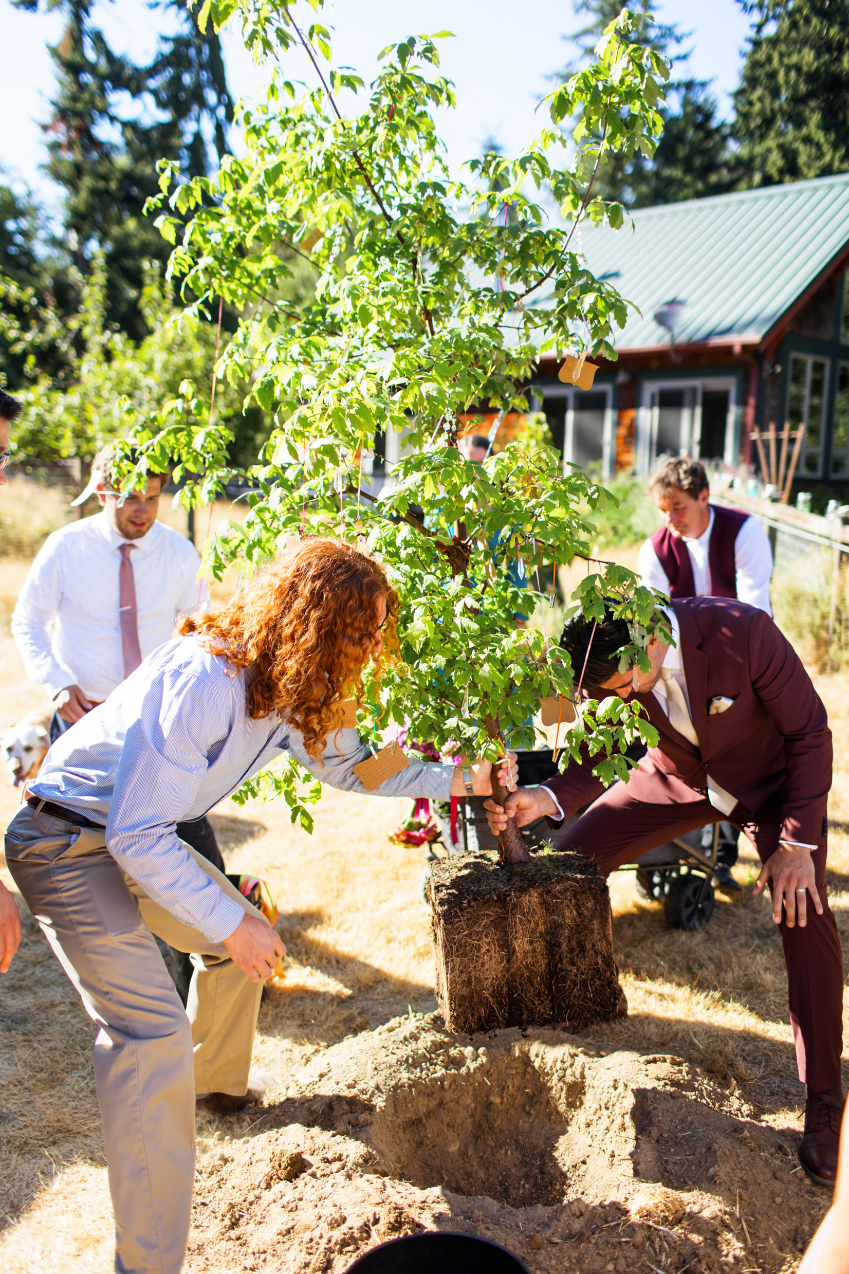 Private Whidbey Island Wedding Photos
